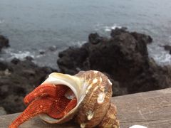 -龙头岩(Dragon Head Rock)