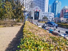 -北京中医药大学东方医院(方庄院区)