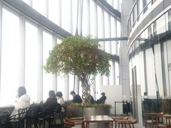 -上海中心大厦