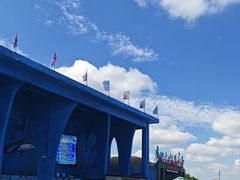 -鄂尔多斯野生动物园