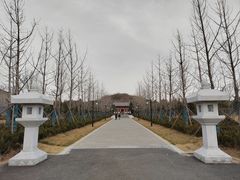 -洛阳古墓博物馆