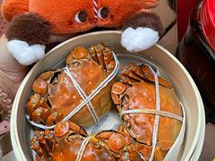 -黄记大闸蟹专卖店·活蟹·醉蟹