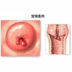 -邢台妇产医院