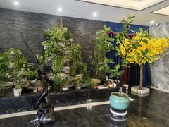 -尊足养生·影院足道·主题spa·采耳(浦江店)