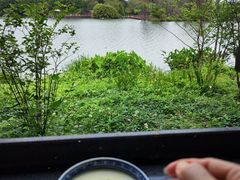 -海珠湖公园