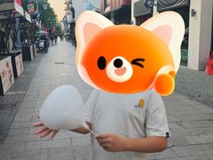 -安亭老街
