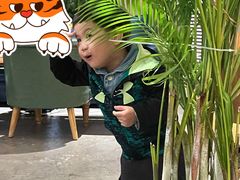 -邊渡咖啡