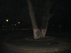 -常州古运河南大街文化旅游区-人民公园