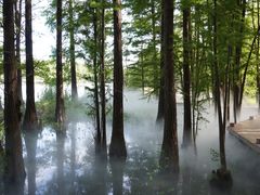 -东湖落雁景区
