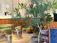 -YOLO COFFEE悠乐咖啡