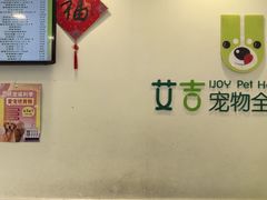 -艾吉宠物医院·疑难杂症转诊中心·猫友好(碧江路院)