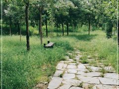 -西青郊野公园