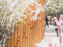-北京奥林匹克公园