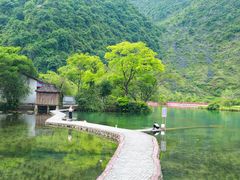 -靖西鹅泉风景区
