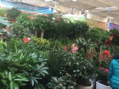 -秦美花卉(天朗·莱茵小城2期店)