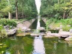 -东平国家森林公园
