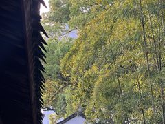 -天一阁博物院