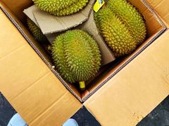 -西郊国际农产品交易中心