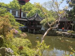 -上海醉白池公园