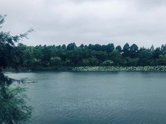 -上海怡沁园度假酒店