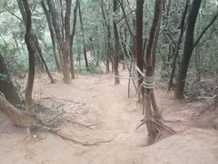 -灵岩山风景区