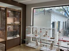 -翊宠yipet猫狗购宠庄园犬舍•猫舍