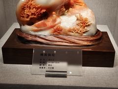 -湖南省地质博物馆