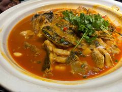 -魏铭鱼头捞饭(晋阳路店)