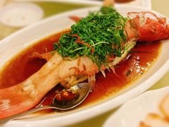 东星斑-四海之家(蛇口店)