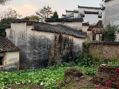 -塔川景区