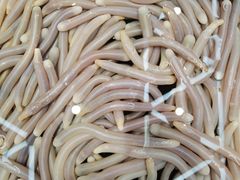 -海鲜e族(马王堆店)