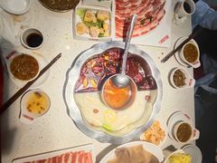 -辣度火锅(东方城市广场店)