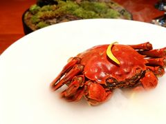 -觀芷隐轩