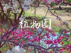 -国家植物园