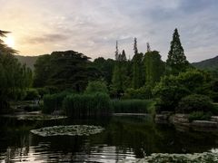 -习家池