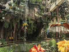 -正佳雨林生态植物园