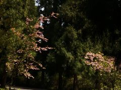 -太阳湾风景区