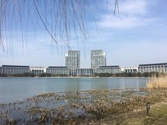 -尚贤河湿地