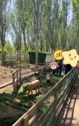 -优沃得自然教育农场·冰雪乐园·生日会·研学
