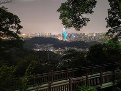 -茶颜悦色(岳麓山顶店)