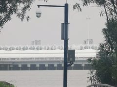 -上海吴淞炮台湾国家湿地公园