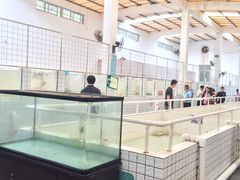 -广东惠东海龟国家级自然保护区