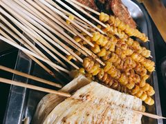 -康源居热气羊肉烧烤羊蝎子(商城路店)