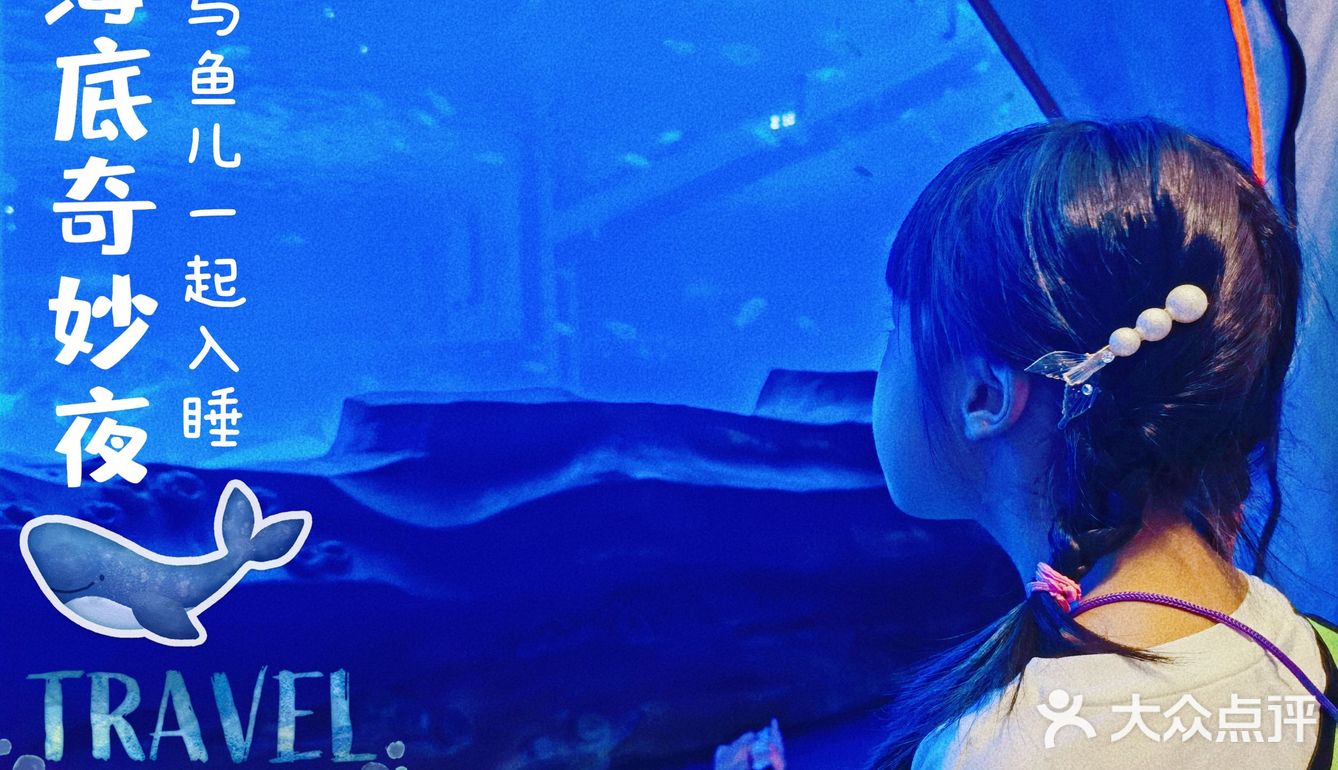 今晚睡在海世界的帐篷里，监督鲨鱼睡觉！
