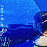 今晚睡在海世界的帐篷里，监督鲨鱼睡觉！
