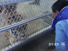 -长春观