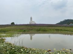 -紫颐香薰山谷景区