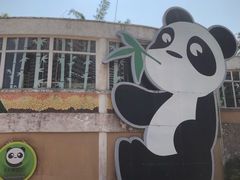 -石排湾郊野公园