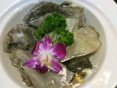 毛肚-九宫格老灶火锅