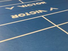 -东坡羽毛球馆(东坡南一路店)